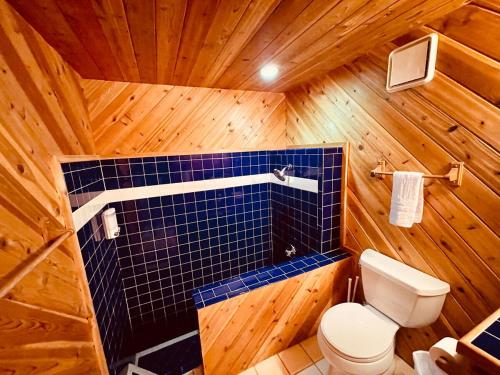 ein Badezimmer mit einem WC und einer blau gefliesten Wand in der Unterkunft Runway Cabin Retreat With Private Hot Tub! in Duck Creek Village