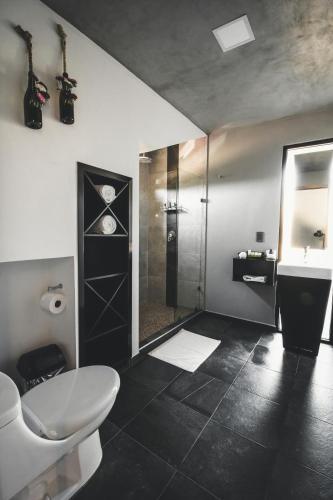 a bathroom with a shower and a toilet and a sink at Origen75 Loft - Villas - Skypool - Viñedo, Valle de Guadalupe in Valle de Guadalupe
