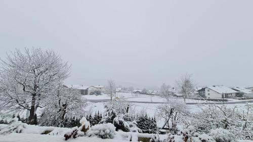a snow covered yard with trees and houses at Ferienhaus Ruhe Oase im Bayerischen Wald in Traitsching