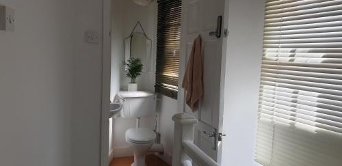 La salle de bains blanche est pourvue de toilettes et d'un miroir. dans l'établissement Charming 1-Wall Bed Comfortable Studio in NWLondon, à Londres