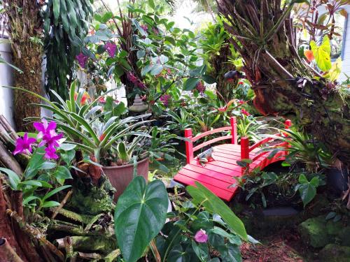 a garden with a bench and flowers and plants at Paradise Cottage at Anthurium Hale in Hilo