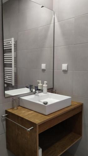 uma casa de banho com um lavatório branco e um espelho. em Quinta do Oratório Agroturismo em Óbidos