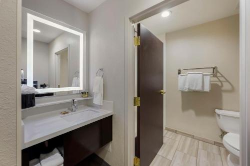Best Western Plus Nashville Airport Hotel - BNA في ناشفيل: حمام مع حوض ومرحاض ومرآة