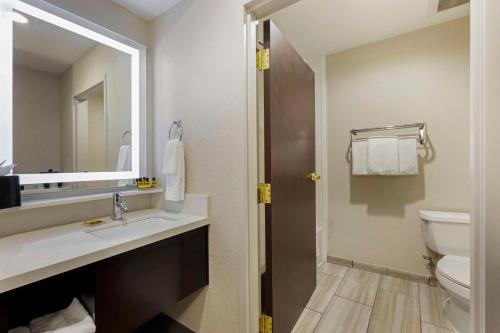 a bathroom with a sink and a toilet and a mirror at Best Western Plus Nashville Airport Hotel - BNA in Nashville