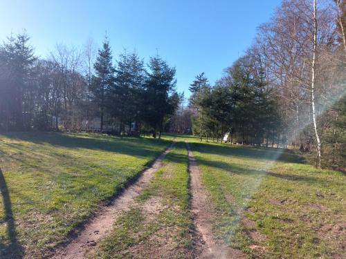 a dirt road in a field with trees at Natuurchalet de Das in Wehl