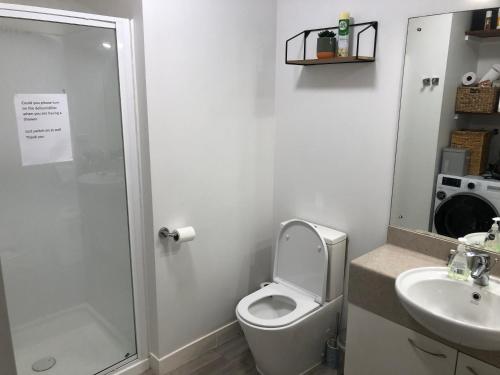 La salle de bains est pourvue de toilettes, d'un lavabo et d'une douche. dans l'établissement Cool Apartment, Central To Everything, share with 2x Bulldogs, à Auckland