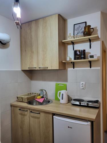 Antić apartmani Stara planinaにあるキッチンまたは簡易キッチン