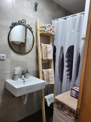 La salle de bains est pourvue d'un lavabo, d'un miroir et d'un rideau de douche. dans l'établissement Antić apartmani Stara planina, à Crni Vrh