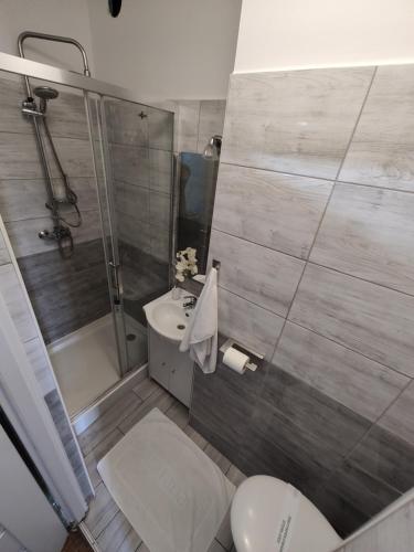 a bathroom with a shower and a toilet and a sink at Vistula City in Płock
