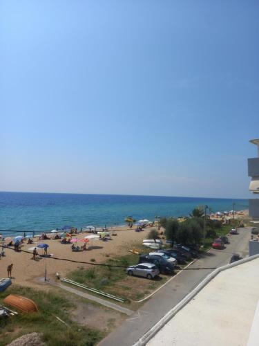 Breeze - Cozy Beachfront Lux Apartment - Listen Piano & the waves