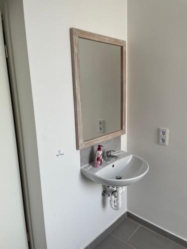 a bathroom with a sink and a mirror at Pension-Wob 2 in Wolfsburg