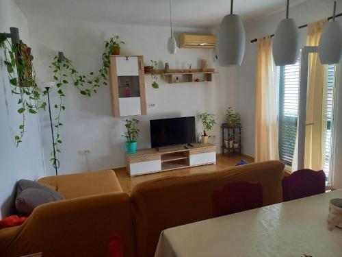 Apartments by the sea Biograd na Moru, Biograd - 11932