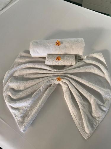 a white bow tie in a white box at Quintal da Praia in Prado