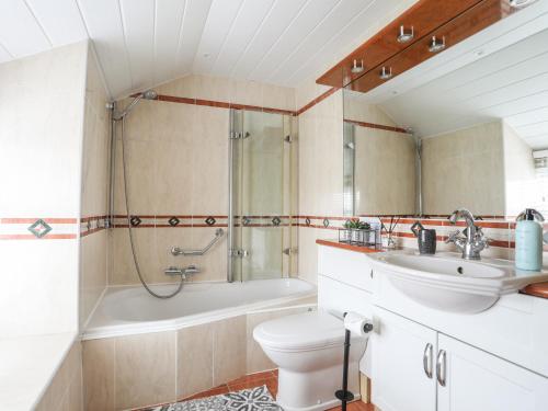 a bathroom with a toilet and a sink and a shower at Bryn Peris in Moelfre