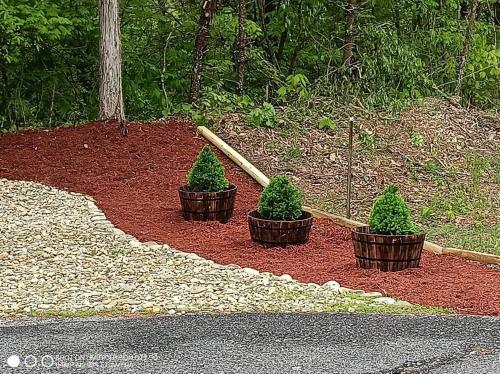 two potted plants and a baseball bat on the ground at The Moose Cove Hideaway on the Lake in Dandridge