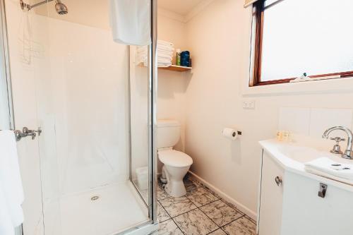 uma casa de banho com um chuveiro, um WC e um lavatório. em Beach Holiday Apartments em Rye