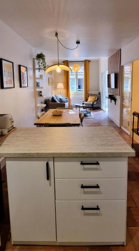 une cuisine avec un comptoir et un salon dans l'établissement Charming Appartement in Vieux Nice, à Nice