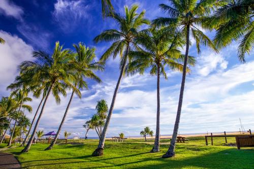 a group of palm trees in a park with the ocean at Tangalooma Island Resort in Tangalooma