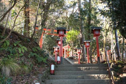 a set of stairs with red lanterns in a forest at 一棟貸切り宿 GuestHouse 嵯峨嵐山 in Kyoto
