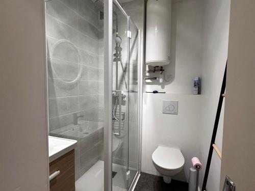 Koupelna v ubytování Studio rénové près de la plage avec Wi-Fi et animaux admis - FR-1-540-259