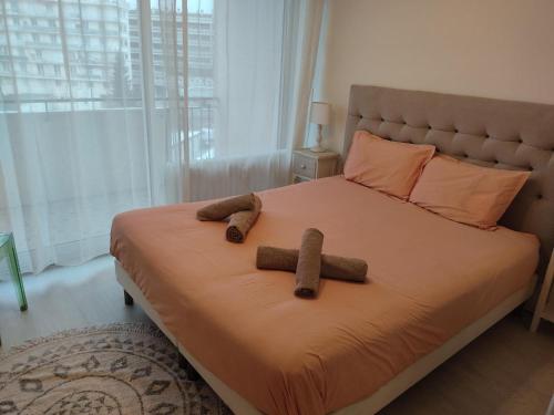 um quarto com uma cama com dois ursinhos de peluche em Charmant appartement au bord du Thiou - Annecy em Annecy