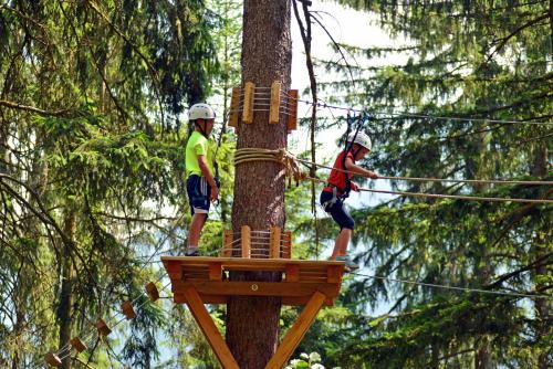 two people climbing up a tree in the forest at monas home mayrhofen in Mayrhofen