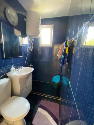 La salle de bains bleue est pourvue de toilettes et d'un lavabo. dans l'établissement Maris, à Sângeorz-Băi