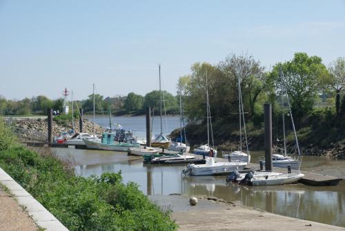 a bunch of boats are docked in a harbor at La Vigie in Couëron