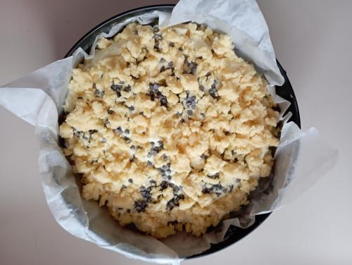 a pie with blueberries in a pie pan at Camere Nordest Sudest- Conca Agordina in Agordo
