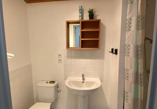 ein Bad mit einem WC und einem Waschbecken in der Unterkunft Appartement idéal pour été et hiver, situé au pied des pistes de ski et des sentiers de randonnée in Prémanon