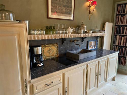 a kitchen with a sink and a counter top at Gîte du Manoir in Monnaie