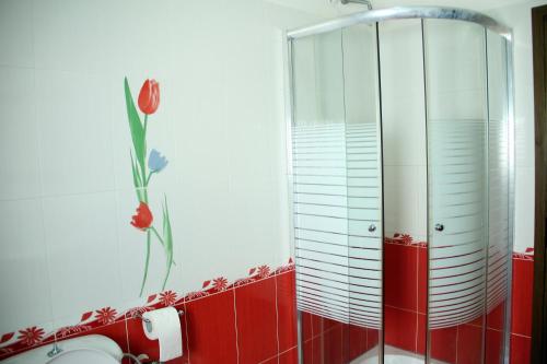 a bathroom with a shower with red tiles and a toilet at King's Star Hotel in Velipojë