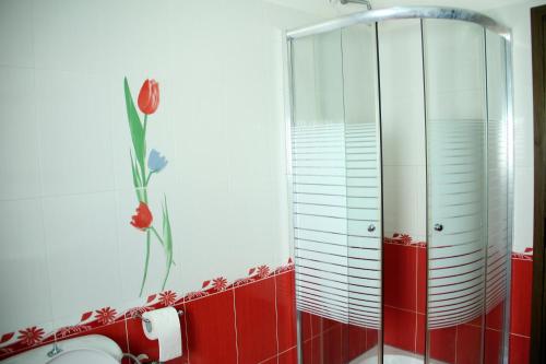 uma casa de banho com um chuveiro com azulejos vermelhos e um WC. em King's Star Hotel em Velipojë