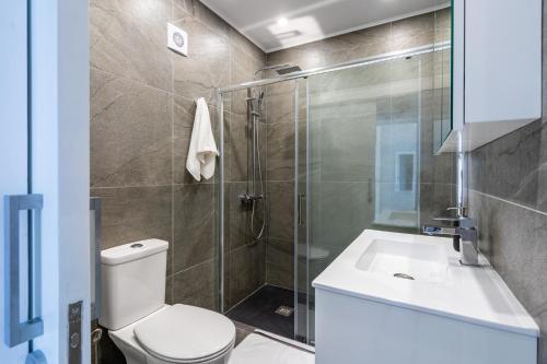 a bathroom with a shower and a toilet and a sink at Peale's 2-Bedroom Apartment in Mackenzie in Larnaca