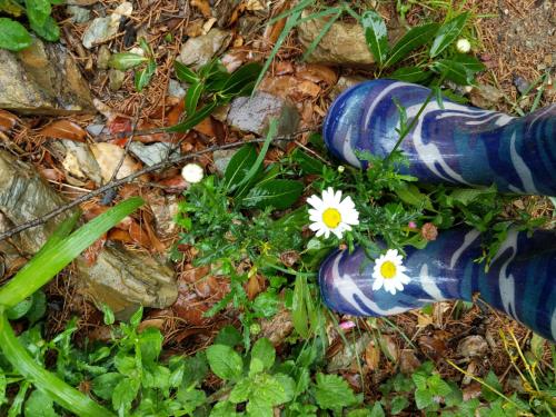 a pair of blue shoes with a white flower in them at NamaStay Himalayas, KANATAL in Kanatal