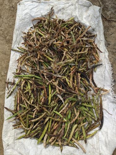 a pile of sticks on a piece of paper at NamaStay Himalayas, KANATAL in Kanatal