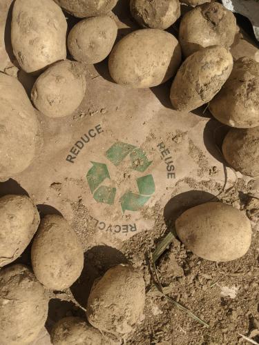 a pile of rocks with the word dodgers written on them at NamaStay Himalayas, KANATAL in Kanatal