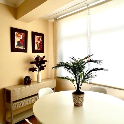 ein Esszimmer mit einem Tisch und einer Topfpflanze in der Unterkunft Piso Riazor 4 habitaciones in A Coruña