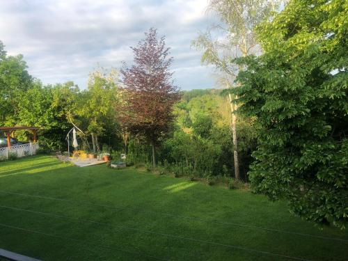 un cortile con un grande prato verde con un albero di Casale di Anna a Piea