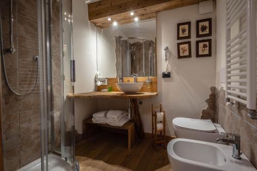 a bathroom with a sink and a toilet and a shower at Hotel & Ristorante Serenella in Breuil-Cervinia
