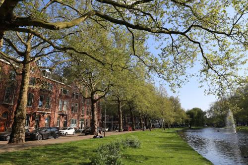 un parc à côté d'une rivière arborée et d'un bâtiment dans l'établissement Mr.Lewis Rotterdam, à Rotterdam