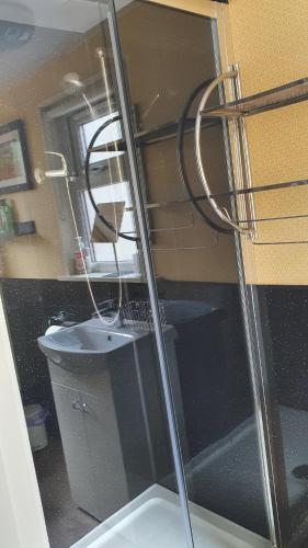 uma casa de banho com um chuveiro, um WC e um espelho. em Herons Rest em Drumnadrochit