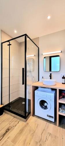 une salle de bain avec une machine à laver et un lavabo dans l'établissement Studio Chic & Garden - Parking - Wifi - TV, à Toulouse