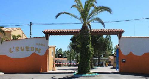 un palmier au milieu d'une rue dans l'établissement Mobilhome 6 places, à Vic-la-Gardiole