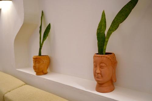 two plants in vases on a shelf next to a couch at VILLA MERIDA BOUTIQUE HOTEL - Adults Only in Mérida
