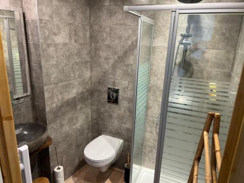 a bathroom with a toilet and a shower at Chambres d’hôtes plateau des mille étangs 