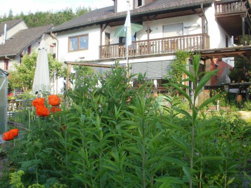 a garden with orange flowers in front of a house at Haus Schipper am Wald in Gemünden