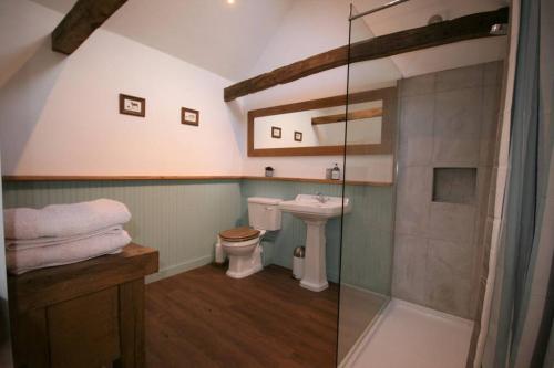 uma casa de banho com um WC, um lavatório e um chuveiro em The Calf Shed at Broxhall Farm em Canterbury