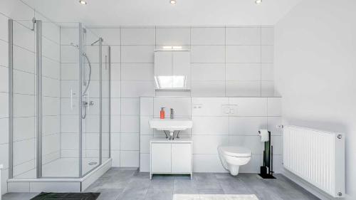 een badkamer met een douche, een toilet en een wastafel bij Houses in Gau-Bischofsheim in Gau-Bischofsheim