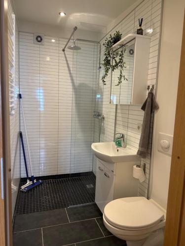 y baño con ducha, aseo y lavamanos. en Norðurgata 43 en Akureyri
